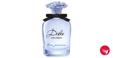 blue jasmin dolce gabbana